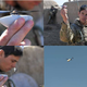 Imagen para el artículo titulado Estos mini-drones de 10 centímetros son lo último en espionaje militar